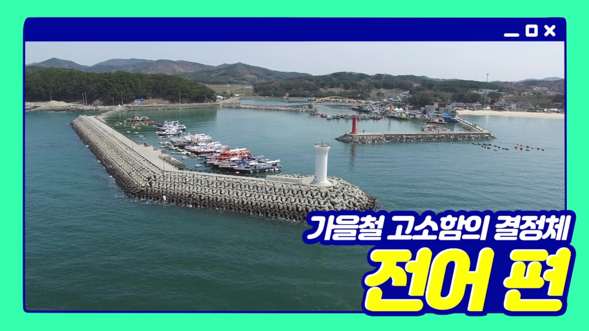 가을철 고소함의 결정체 '전어'